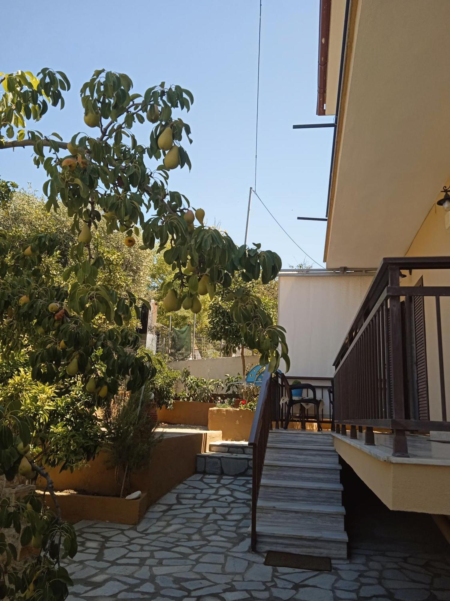 Dimitra'S Garden Apartments Skála Kallirákhis Exteriér fotografie